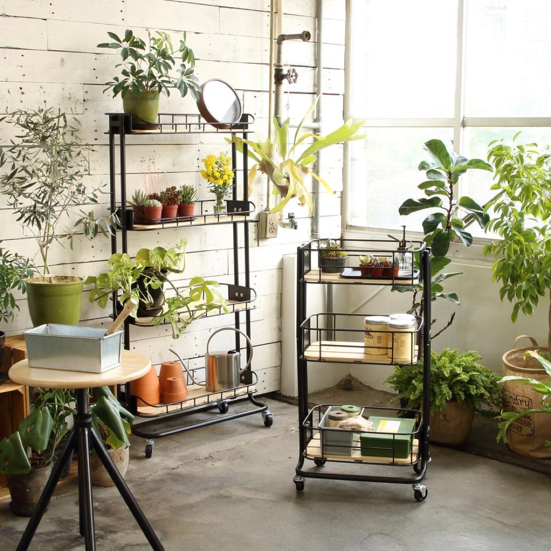 BY CAGE / ビーワイケージ ラック