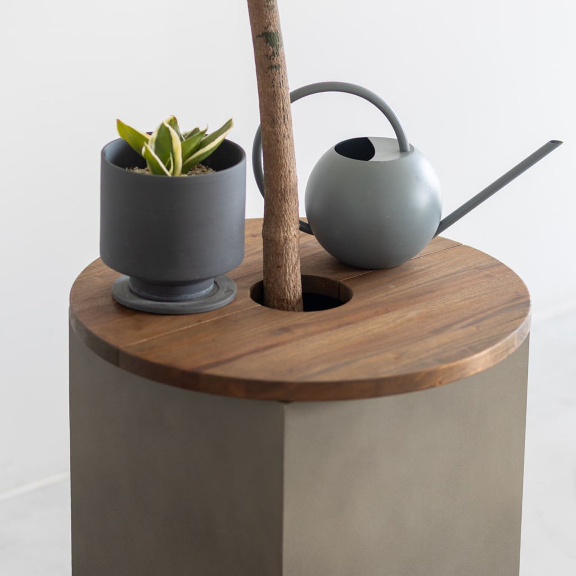 Jardin / ジャルダン プランツテーブル