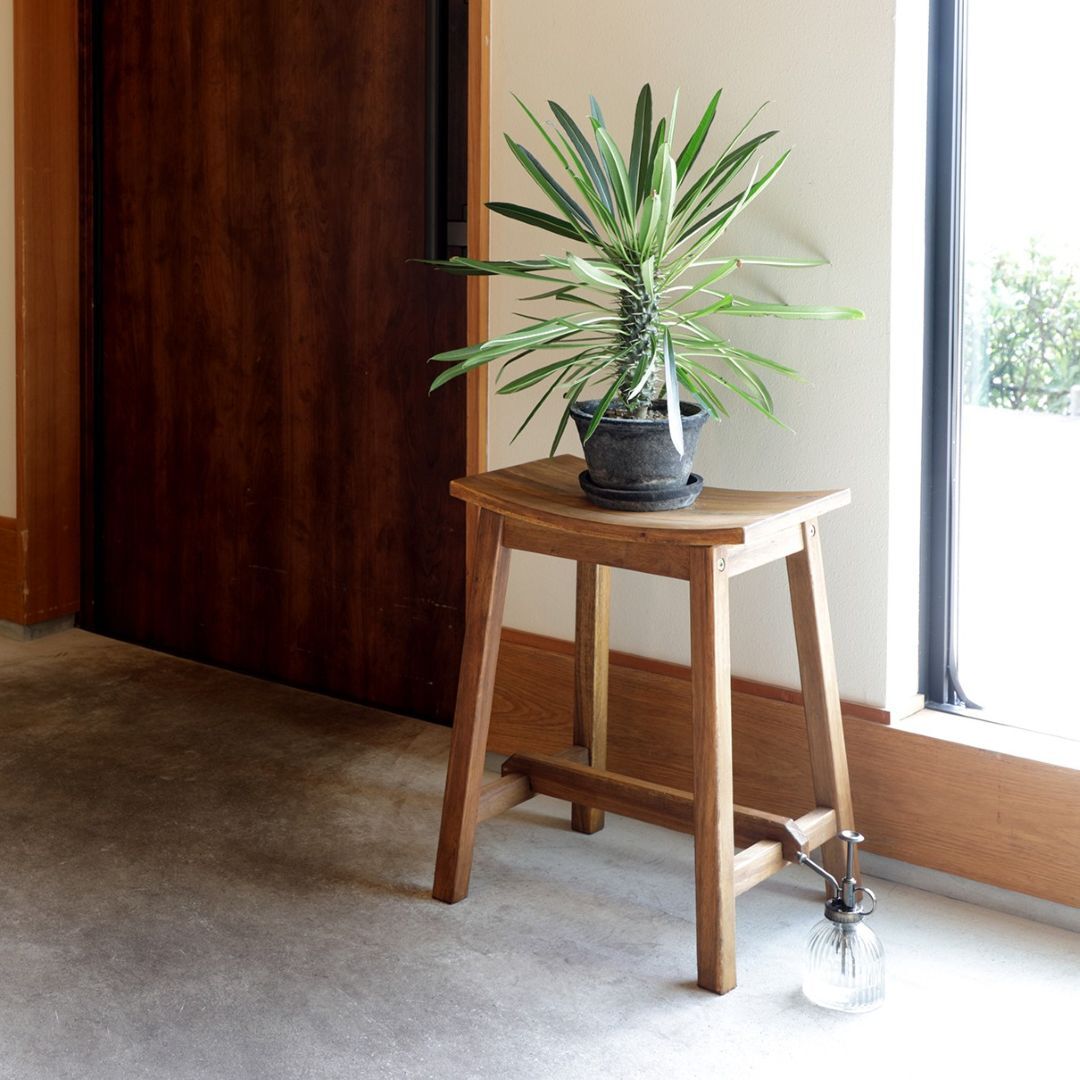 Jardin / ジャルダン スツール