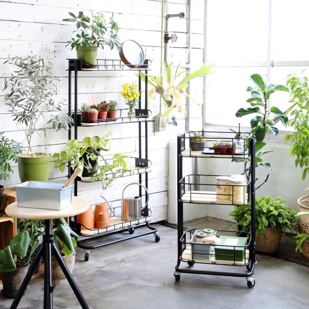 BY CAGE / ビーワイケージ ワゴン