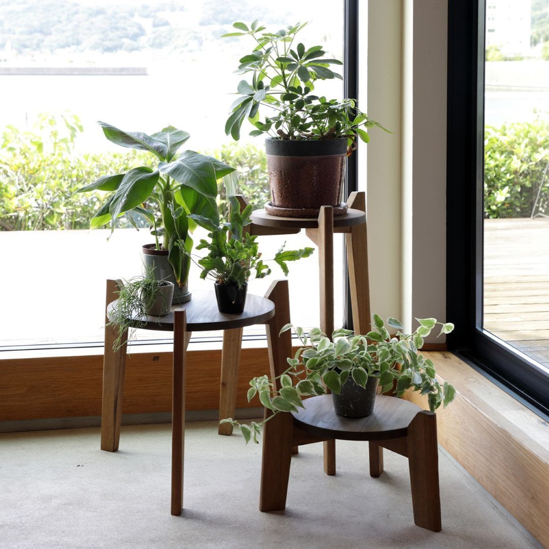 Jardin / ジャルダン プランツテーブルセット